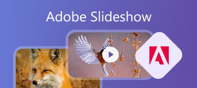 Adobe slideshow