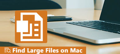 Find Large Files on Mac