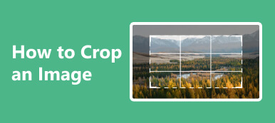 How to Crop An Image