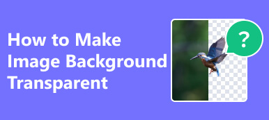 How To Remove Background From Picture