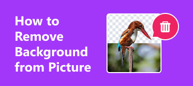 How To Remove Background From Picture