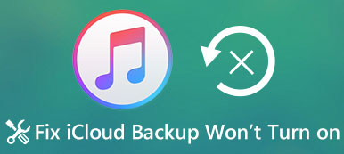 iCloud Backup Wont Turn on