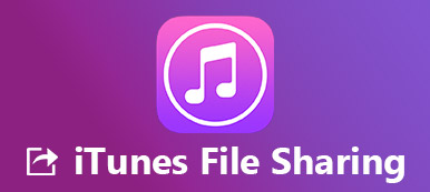 Set up And Use iTunes File Sharing