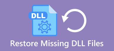 Missing Dill Files