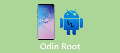 Odin Root