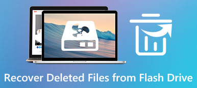 Recover Deleted Files from Flash Drive