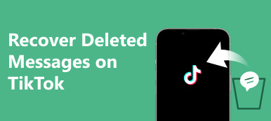 Recover Deleted Messages On TikTok