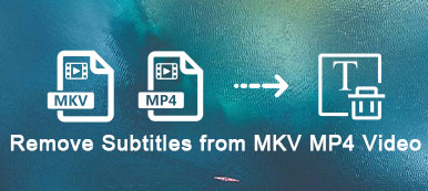 Remove Subtitles from MKV MP4 Video