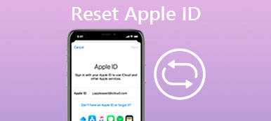 Reset Apple ID or Password