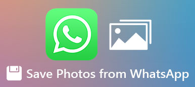 Save Photos from WhatsApp