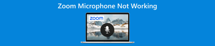 Zoom Microphone Not Working