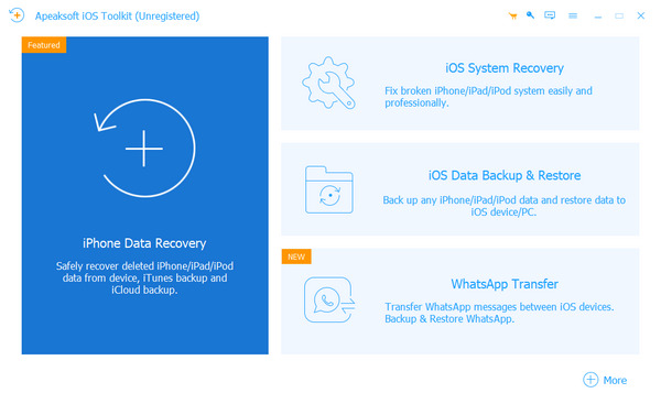 Choose iPhone Data Recovery