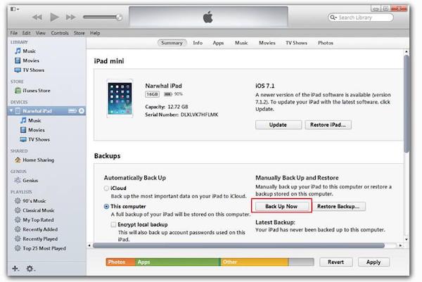 iTunes Backup iPad