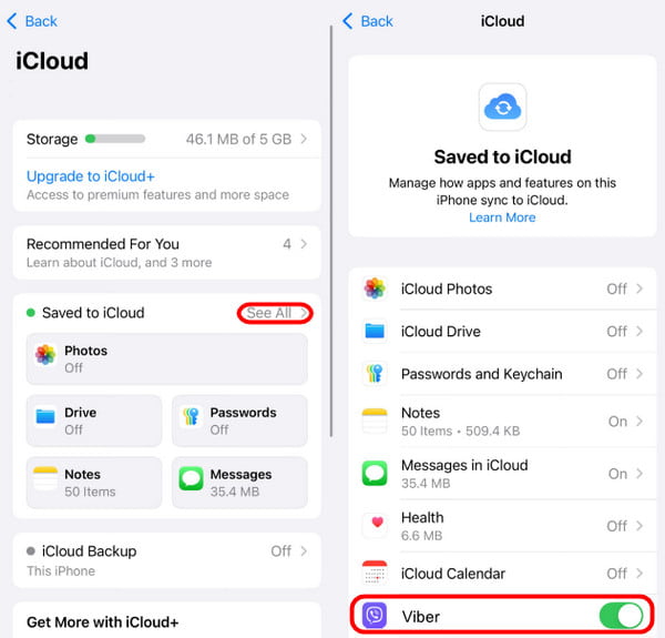 Viber iCloud activado