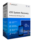 Recuperação do Sistema iOS