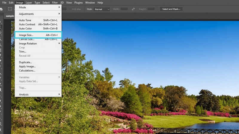 Outil de taille d'image dans Gimp