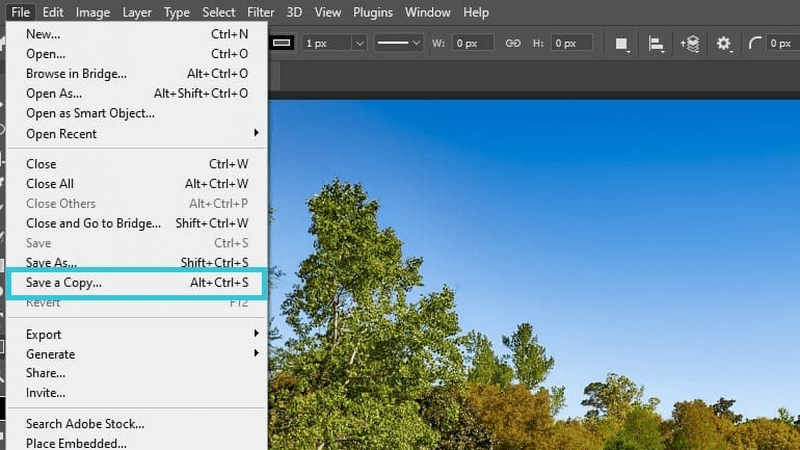 Enregistrer l'image redimensionnée à partir de Gimp