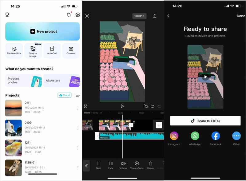 Add Music Capcut