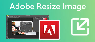 Adobe Redimensionner l'image