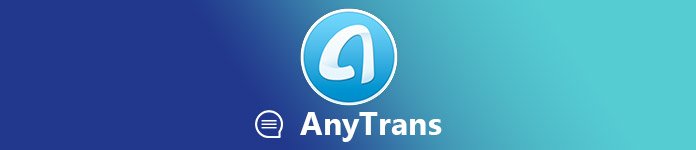 AnyTrans