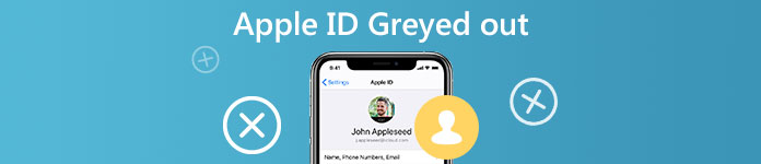 Apple ID выделен серым цветом
