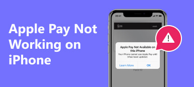 Apple Pay funktioniert nicht auf dem iPhone