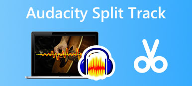 Audacity Split-Audiospur