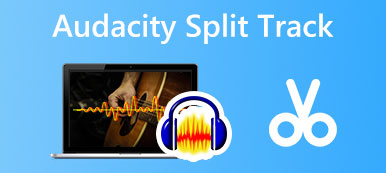 Audacity gesplitste audiotrack