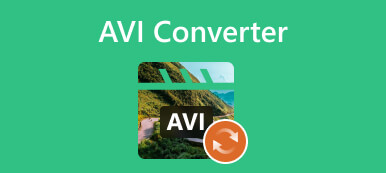 AVI-converter