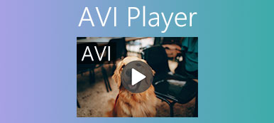 AVI-Player