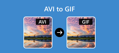 AVI a GIF-hez