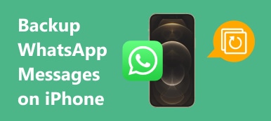 Sauvegarde des messages WhatsApp sur iPhone