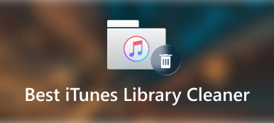 Mejor limpiador de bibliotecas de iTunes