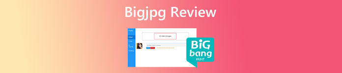 Bigjpg Review
