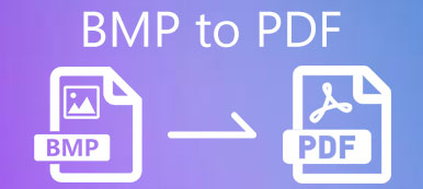 BMP zu PDF