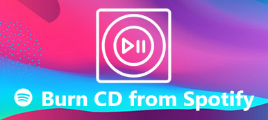 Burn CD From Spotify