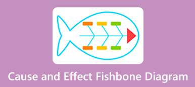 Ursache-Wirkungs-Fischgräten-Diagramm
