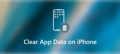 Wis app-gegevens iPhone