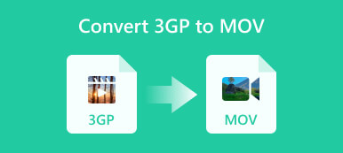 3GP を MOV に変換する