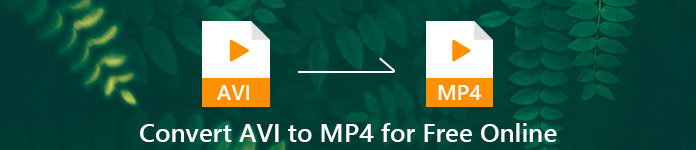 AVI - MP4