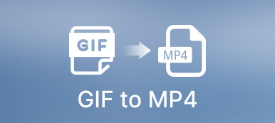 Konvertera GIF till MP4