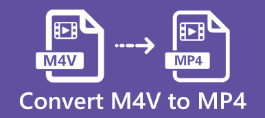 M4V til MP4