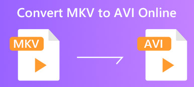 MKV til Avi