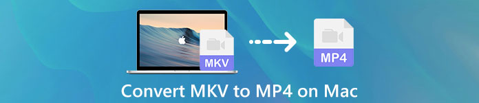 Konverter MKV til MP4 på Mac