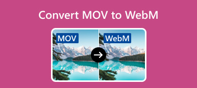 Konvertieren Sie MOV in WebM