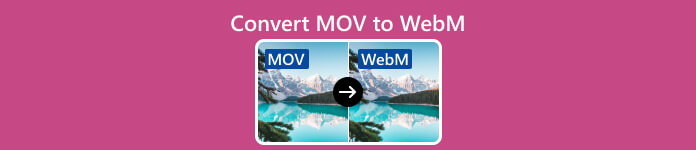 Converti MOV in WebM