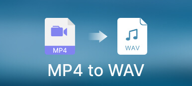 MP4 a WAV