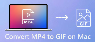 Konverter MP4 til GIF på Mac