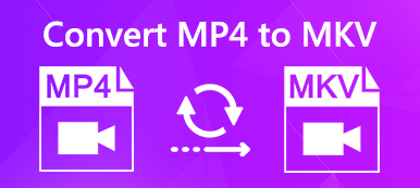 Converteer MP4 naar MKV