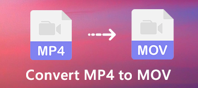 Converteer MP4 naar MOV